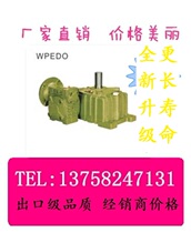 WPEDO40-70 50-80 60-100 70-120 80-135 Worm gear and worm double-stage bipolar reducer