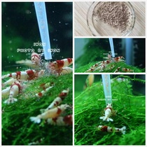 Microbial ferment icons for powder explosion propagation effects of explosion seedling powder juvenile proliferation effects of crystal shrimp explosion propagation cephalosporin Hakata replacement