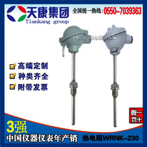 Anhui Tiankang Group armored threaded thermal resistance WZP-230 pt100 platinum thermal armored resistance