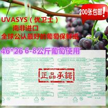 South Africa imported UVASYS excellent Guardian fresh paper red tikron autumn red grape blueberry cold storage long-acting medicine