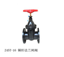 Z45T-16 Copper rod flange gate valve Dark rod flange gate valve DN40 DN50 DN65 DN80 100 150