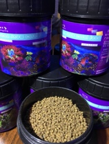 Yu Machiyang Granules Coral Grain Ocean Snow Anemone Coral Nutritional Grain lps Soft Brain Granules Grain