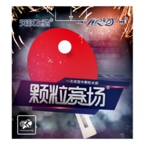 2019 New Galaxy Granules Field Long Glue Single Rubber in Pellets Durable Weird Table Tennis Pingle Rubber