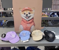 Korea ins pet LA hat dog cat accessories sun hat adjustable NY baseball cap Little Red Book photo