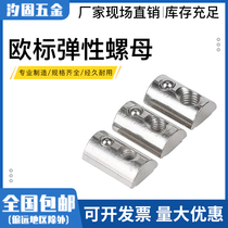European standard aluminum profile elastic steel ball nut fittings 20 Type 30 Type 40 Type 45-M3M4M5M6M8M10