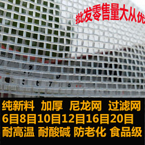 Thickened nylon filter industrial chemical aquaculture drying mesh chemical sieve plastic acid and alkali resistant large wire screen 6 mesh 8 mesh