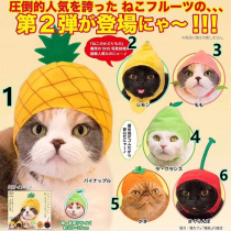Japanese Twister Egg Pet Cat Dog Exclusive Headscarf Turned into Fruit Pineapple Plush Hat Decoration