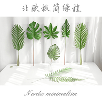 ins wind simulation leaf photo props ornaments nail art shooting pose decoration background cloth Taobao Photography