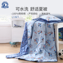 Dreamt Baby washable air conditioning by child Summer quilts cotton by core Summer thin pure cotton quilts by sub-single students