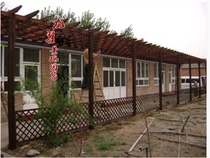 veneer grape rack anticorrosive wood grape rack courtyard balcony grape rack anticorrosive wood carport rack outdoor porch rack