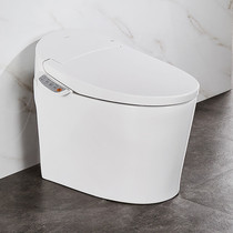 Nine Pastoral Bass Surge Jet Syphon Type Cyclone Flushing Toilet Bowl TOILET BOWL Intelligent All-in-One Z1D7620