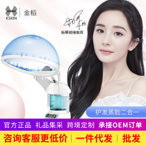 Golden rice Home Oil oven cap household ozone steamer oil oven oil cap oil evaporator KD2328A