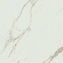 Marco Polo fish maw gold