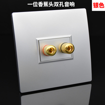 One 2-head audio socket silver Type 86 wall concealed household two-terminal audio double-head speaker panel