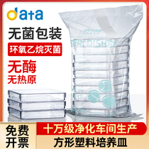 13 13 * 13cm square plastic petri dish 10x10cm disposable bacteria 130X130mm 100X100mm