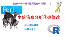 Bioinformatics analysis code modification R language Perl script error resolution one-to-one (Shengxin self-study network)