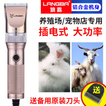 Wolfba high-power cashmere goat electric clipper large dog dog shaved rabbit pet hair pusher Electric Pusher