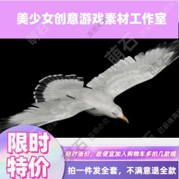 Fine Seagull Flying Action Animation 3DMAX Модель птица летает скелет 3D -модель 3D -модель