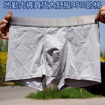 Grey Breathable Open Space Underpants 95% Cotton Good Comfortable Antibacterial Movement Mid-Waist Pure Color Flat Angle Pants Minima Type 09