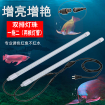 One drag two double row LED lamp beads colorful enhancement three basic color red waterproof tube fish tank lighting three color switch