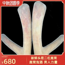Fresh pruning two bars head stubble deer fluffy slices dry bubble wine material authentic half-wax powder Jilin sika deer