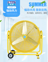 Deton German fan 24 inch HVF-60L post type cylinder industrial electric fan hand push Post fan