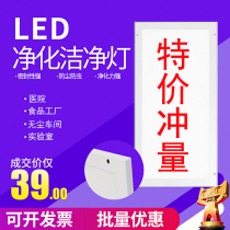 LED clean light 300x1200 purification light LED panel light Hospital operating room dust-free workshop flat ceiling light