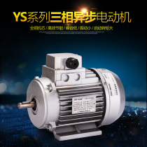 Shanghai Dedong YS 7112 7122 7132 7114 7124 7134 three-phase asynchronous motor