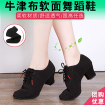 2021 new professional Latin dance shoes female adult high-heeled teacher soft-soled square dance body dance shoes summer