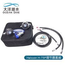 Halcyon h75p scuba diving respiratory regulator technology diving one and two head back hanging single and double bottle set