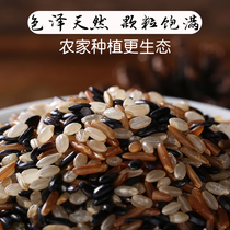 Color Brown Rice of New High-5kg grains of rice fitness fat reducing sugar low-fat fullness low-calorie pregnant women black rice red rice