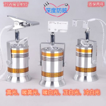 LED75W hook jewelry Lamp Exhibition spotlight super bright exhibition display counter gold jewelry spotlight track light