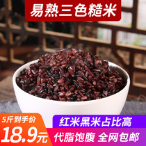 Three-color brown rice new rice 5kg fitness low-fat grains coarse grain rice red rice black rice brown rice germ Rice