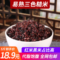 Three-color brown rice new rice 5kg fitness low-fat grains coarse grain rice red rice black rice brown rice germ Rice