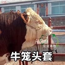 Cow halter set Cow faucet Cattle cattle reins tie cow rope braided large hand special dragon set braided flower Malone head
