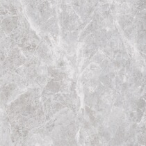 (Harbin Hathy mall) Nobel tiles Nobel wall tiles 800 * 800 (T36305)