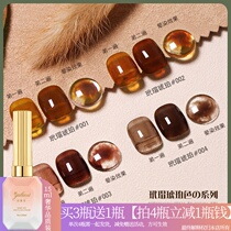 Internet celebrity tortoiseshell amber nail polish new popular nail salon dedicated 2022 small set of translucent nail polish