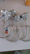 Armored thermocouple WRNK-131 231 331 K E J N T double 4-core armored non-standard customization