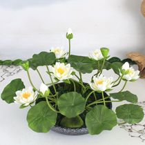 Simulation Lotus Flower Bonsai Chinese Meditation Fake Flower TV Cabinet Decoration Flower Desk Placement Flower Family Residence Decoration Flowers