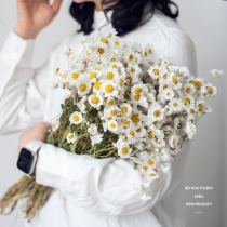 Imported dried flower Rodans Mini Wax Chrysanthemum Rudan Bird Bride Headdress Home Furnishing Decoration Shooting