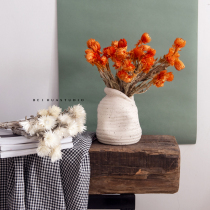  Nordic modern Morandi color dried flower imported rock flower bed and breakfast desktop home soft decoration shooting props