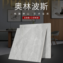 Marco Polo tile full cast glaze living room large floor tile CC9310AS Olympus Olympus900 * 900