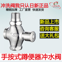 Nixin fine copper hand press type flush valve squat toilet flush valve stool flush valve stool delay valve toilet bowl flush