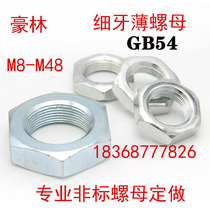 Galvanized fine tooth hexagon thin nut flat nut M12m14m16m18m20-m48*1 25*1 5*2*3*4