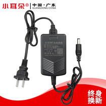 Small ear power monitoring camera indoor and outdoor rainproof 12V2A adapter STD-TM24 thumb T2X-A