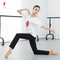 Dance practice Costume Womens Adult Blouse Dance Character Short Sleeve Culture Shirts Men T-Shirts Plaza can be printed in print group 33010