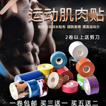 Special price Professional Kinesiology tape Tape Elastic Sports Bandage Kinesiology tape Muscle tape Muscle tape