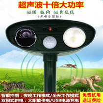 Town home protection high-power solar ultrasonic drive wild cat dog bird weasel villa garden anti-entry animal device