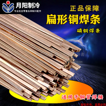 Qixing flat type phosphor copper electrode copper electrode copper electrode length 40CM copper electrode ultra-wide thickening 78 yuan kg