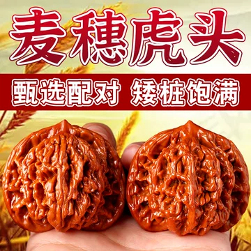 東京文玩育成】文玩核桃 麦穂虎頭 【公式通販】